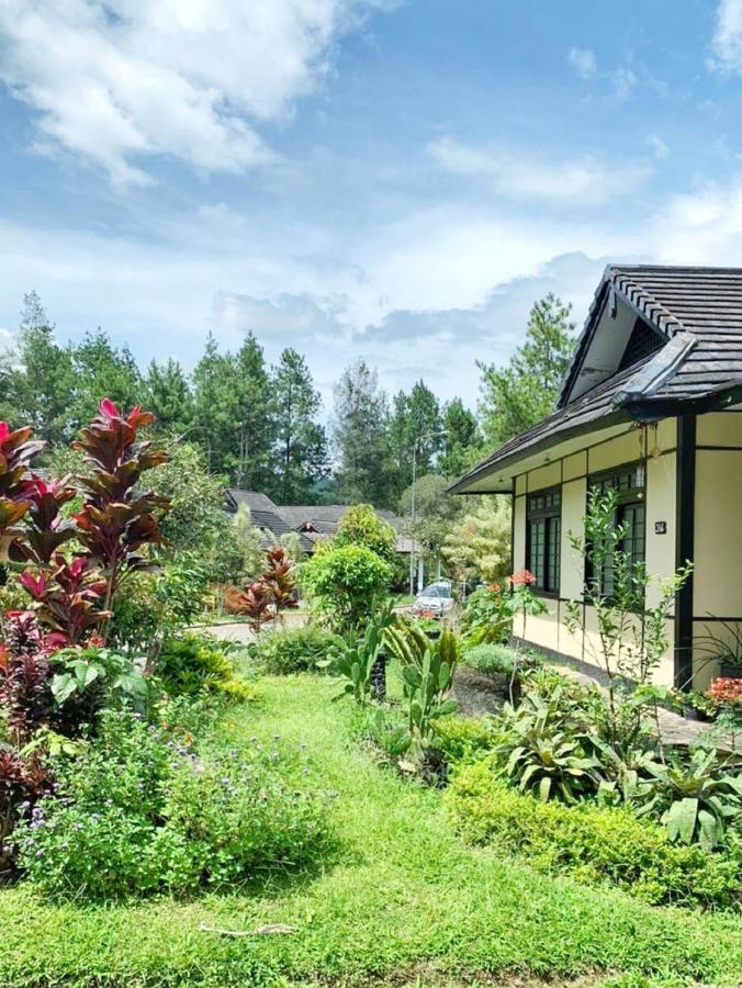 Designer Villa Osaka Puncak Exterior photo