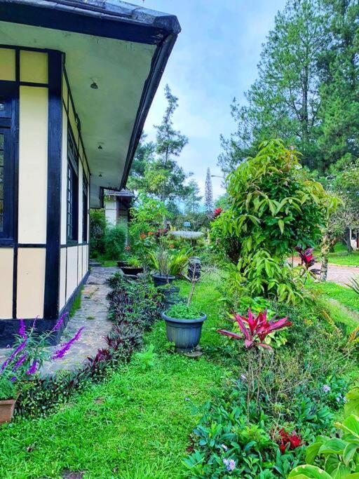 Designer Villa Osaka Puncak Exterior photo