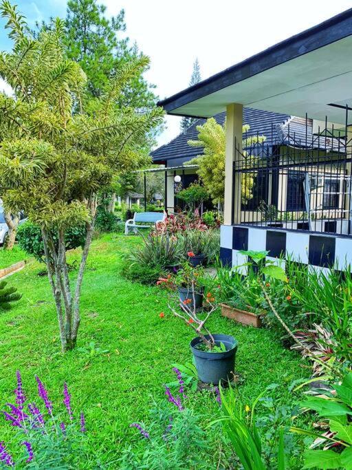 Designer Villa Osaka Puncak Exterior photo